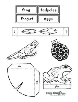 Frog Life Cycle Craft | 3D Diorama Craft Activity, image 2