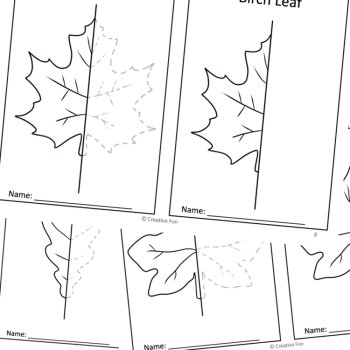 Leaf Symmetry Tracing Coloring Worksheets | Math and Art Geometry Activities, image 2