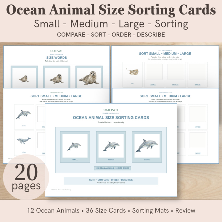 Ocean Animal Size Sorting Cards | Small Medium Large