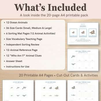 Ocean Animal Size Sorting Cards | Small Medium Large, image 2