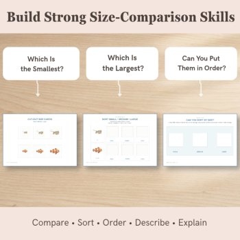 Ocean Animal Size Sorting Cards | Small Medium Large, image 3