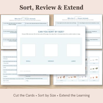 Ocean Animal Size Sorting Cards | Small Medium Large, image 4