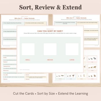 Safari Animal Size Sorting Cards | Small Medium Large, image 4
