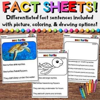 Ocean Animals Research Reports - Nonfiction Writing Summer Sea Activities, image 2