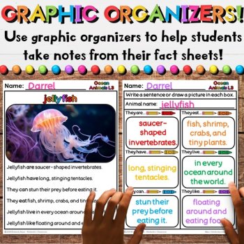 Ocean Animals Research Reports - Nonfiction Writing Summer Sea Activities, image 3
