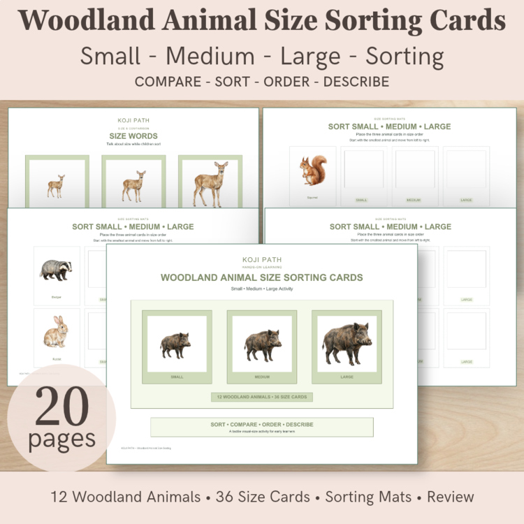 Woodland Animal Size Sorting Cards | Small Medium Large