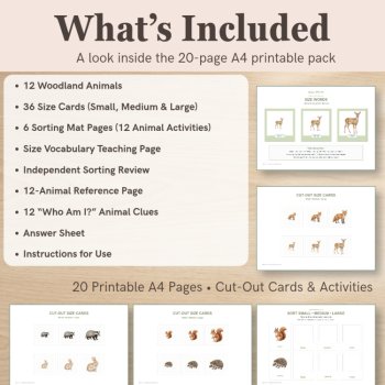 Woodland Animal Size Sorting Cards | Small Medium Large, image 2