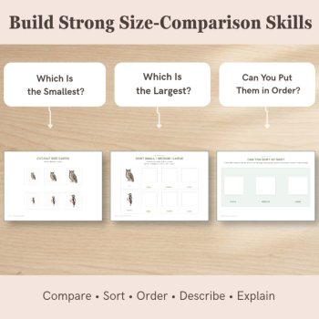 Woodland Animal Size Sorting Cards | Small Medium Large, image 3