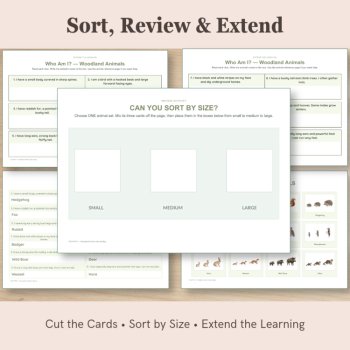 Woodland Animal Size Sorting Cards | Small Medium Large, image 4