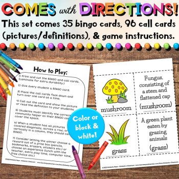 Spring Garden Differentiated Bingo Game Activities with Definitions & Riddles, image 4