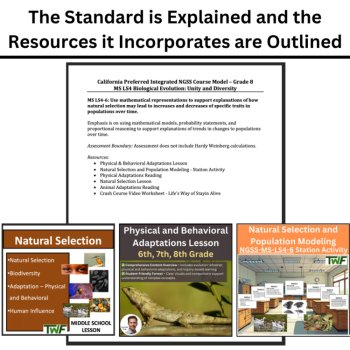 MS-LS4-6 Natural Selection & Population Traits Over Time Bundle | Adaptations, image 4