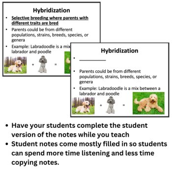 Reproductive Technologies Lesson | Artificial Selection, Hybridization, Cloning, image 2