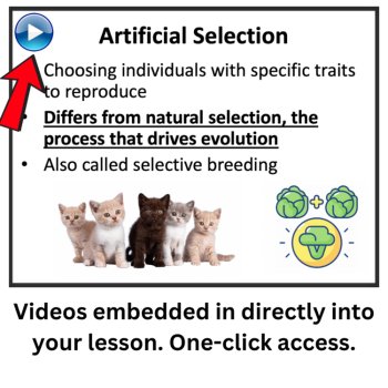 Reproductive Technologies Lesson | Artificial Selection, Hybridization, Cloning, image 3