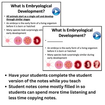 Comparing Embryos - Evidence of Common Ancestry Evolution Lesson | 6th, 7th, 8th, image 3