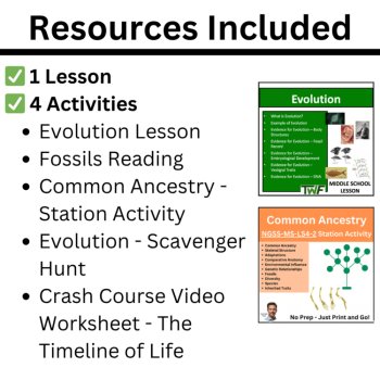 MS-LS4-2 Evolution Evidence from Anatomy BUNDLE | Common Ancestry, Fossils, image 2