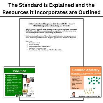 MS-LS4-2 Evolution Evidence from Anatomy BUNDLE | Common Ancestry, Fossils, image 4
