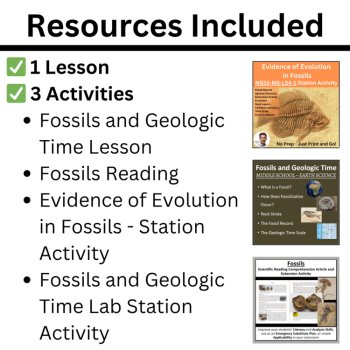 MS-LS4-1 Fossil Record & Evidence of Evolution BUNDLE | Geologic Time, Extinct, image 2