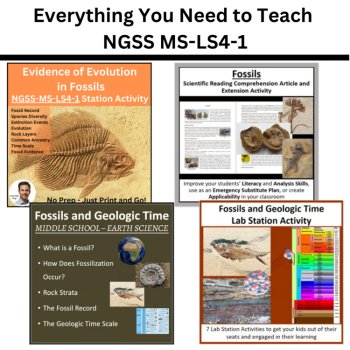MS-LS4-1 Fossil Record & Evidence of Evolution BUNDLE | Geologic Time, Extinct, image 3