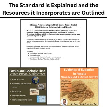 MS-LS4-1 Fossil Record & Evidence of Evolution BUNDLE | Geologic Time, Extinct, image 4