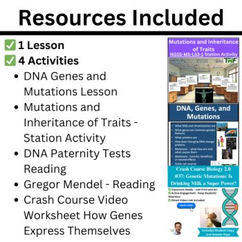 MS-LS3-1 Genetic Mutations & Their Effect on Proteins BUNDLE | Models, Genes, image 2