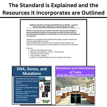 MS-LS3-1 Genetic Mutations & Their Effect on Proteins BUNDLE | Models, Genes, image 4
