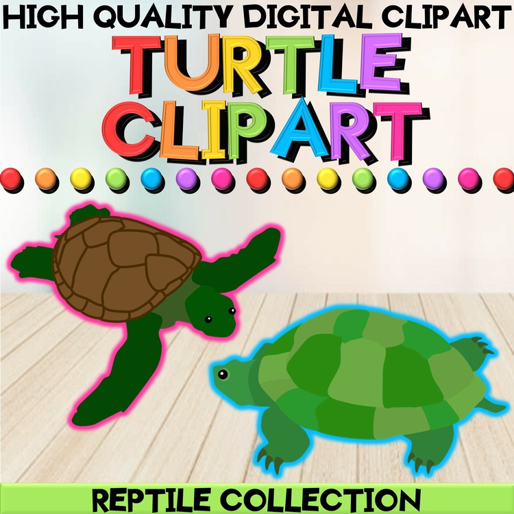 Turtle Digital Clipart - High Quality Reptile Images