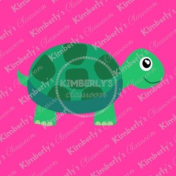 Turtle Digital Clipart - High Quality Reptile Images, image 2