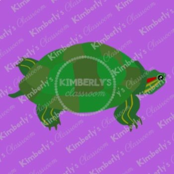 Turtle Digital Clipart - High Quality Reptile Images, image 4