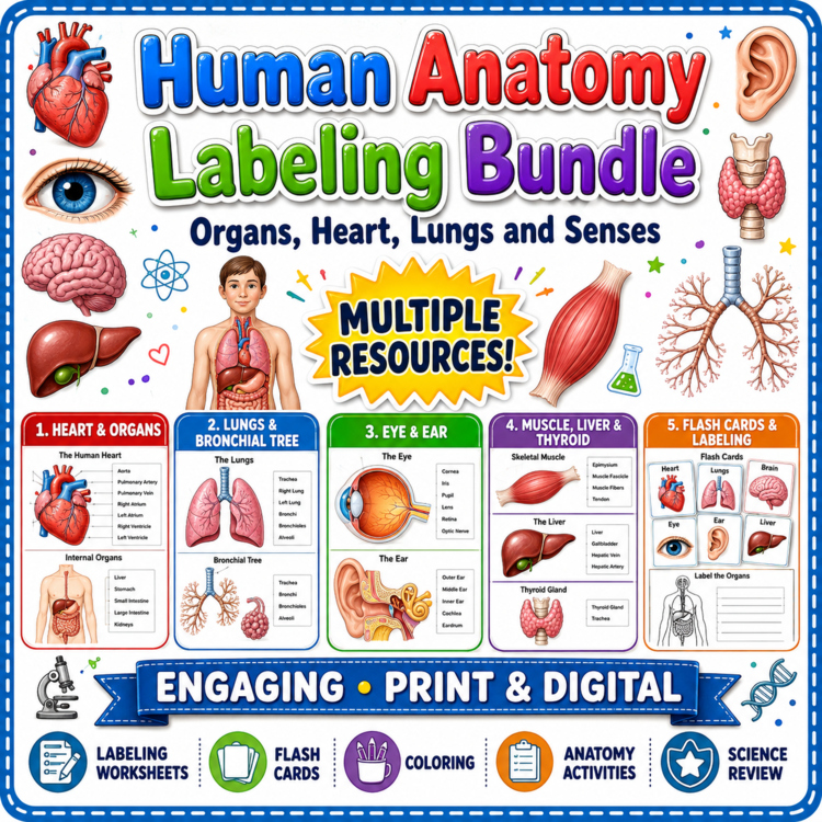 Human Anatomy Labeling Bundle | Organs, Heart, Lungs and Senses