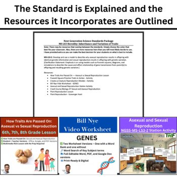 MS-LS3-2 Asexual vs. Sexual Reproduction | Traits, Punnett Square, Genes BUNDLE, image 4