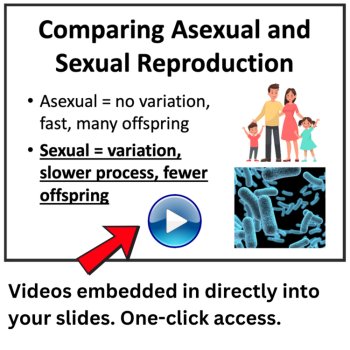 How Traits Are Passed On Lesson | MS-LS3-2 | Asexual vs Sexual | 6th, 7th, 8th, image 4
