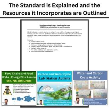 MS-LS2-3 Energy Flow and Matter Cycling in Ecosystems | Food Web | BUNDLE, image 4