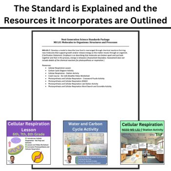 MS-LS1-7 Food, Energy, and Chemical Reactions in the Body | Respiration | BUNDLE, image 4