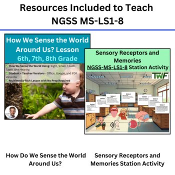 MS-LS1-8 Sensing the World Around Us | Sensory Receptors, Memories | BUNDLE, image 2