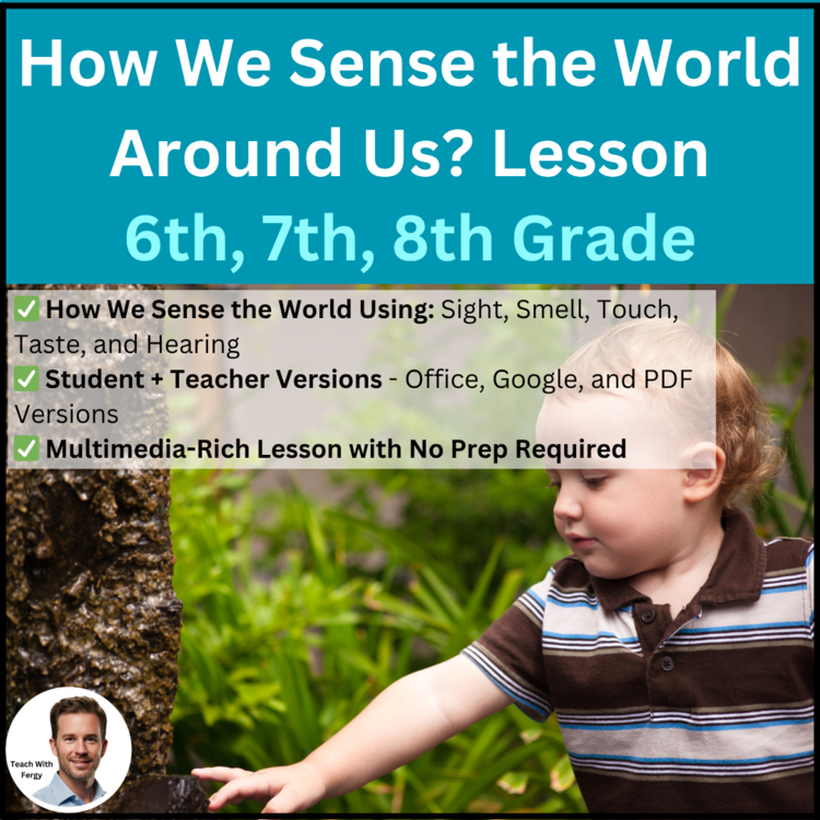 How We Sense the World Around Us? Lesson | MS-LS1-8 | Senses | 6th, 7th, 8th