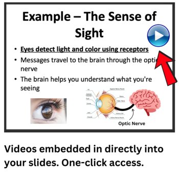 How We Sense the World Around Us? Lesson | MS-LS1-8 | Senses | 6th, 7th, 8th, image 3
