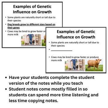 Why Do Organisms Grow Differently? Lesson | LS1-5 | 6th, 7th, 8th, image 2