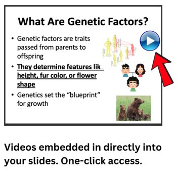 Why Do Organisms Grow Differently? Lesson | LS1-5 | 6th, 7th, 8th, image 3