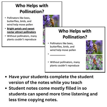 Plant Reproduction Lesson | Sexual Asexual Pollination Fertilization 6th 7th 8th, image 2