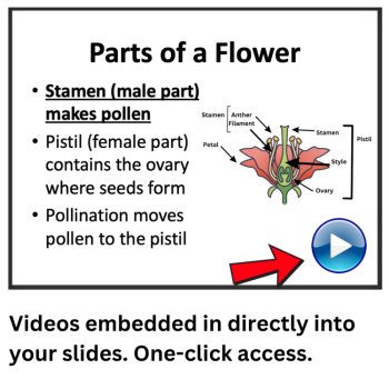 Plant Reproduction Lesson | Sexual Asexual Pollination Fertilization 6th 7th 8th, image 3