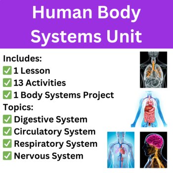 Human Body Systems Unit | Project, Activities, Lesson | 6th, 7th, 8th Grade, image 2