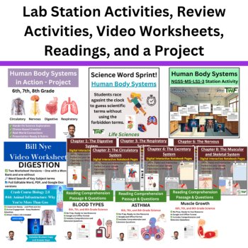 Human Body Systems Unit | Project, Activities, Lesson | 6th, 7th, 8th Grade, image 4