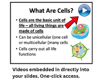 What Makes Something Alive? Lesson | Living, Nonliving, Viruses | 6th, 7th, 8th, image 4