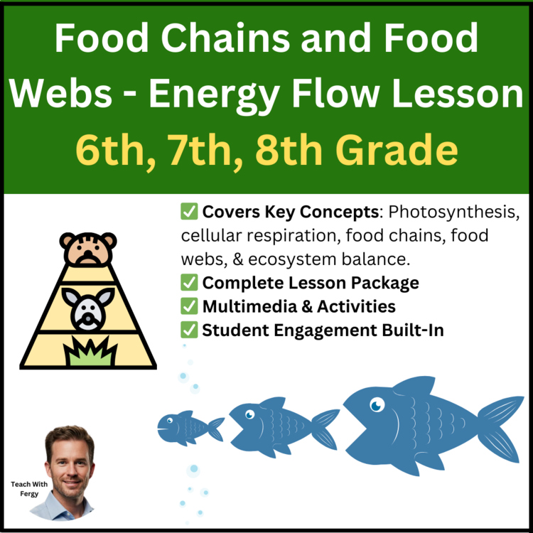 Food Chains and Food Webs - Energy Flow in Ecosystems Lesson | 6th, 7th, 8th