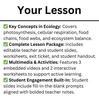 Food Chains and Food Webs - Energy Flow in Ecosystems Lesson | 6th, 7th, 8th, image 4