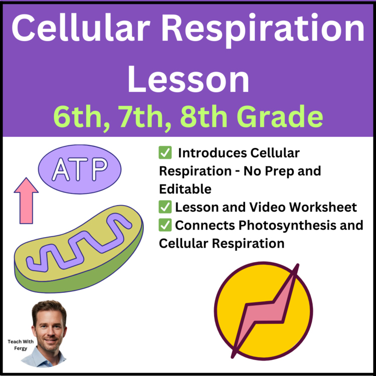 Cellular Respiration Lesson | 6th, 7th, 8th Lesson | Cell Energy Worksheet
