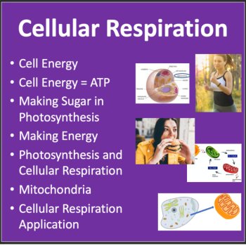 Cellular Respiration Lesson | 6th, 7th, 8th Lesson | Cell Energy Worksheet, image 2