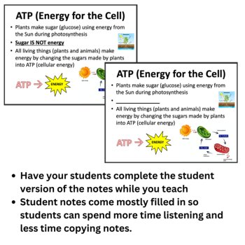 Cellular Respiration Lesson | 6th, 7th, 8th Lesson | Cell Energy Worksheet, image 3