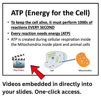 Cellular Respiration Lesson | 6th, 7th, 8th Lesson | Cell Energy Worksheet, image 4