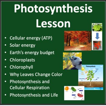 Photosynthesis Lesson | 6th, 7th, 8th Middle School, Bonus Infographic Activity, image 2